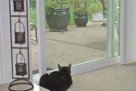 Doesn't he know I'm here?