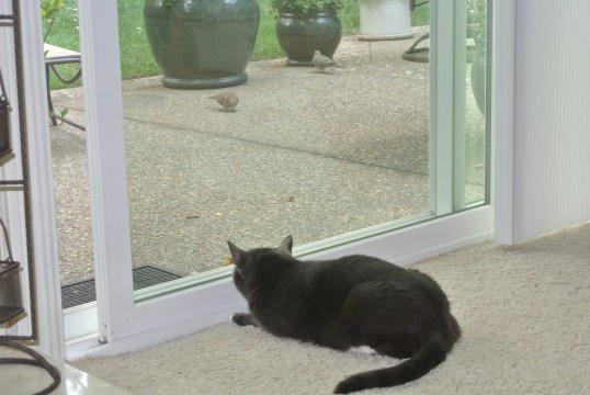 Just a little closer