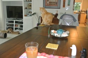 Ready to play yet FM?