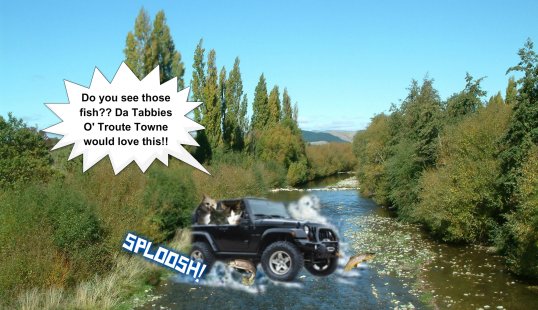 Jeep stream crossing fish