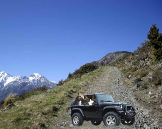 Jeep take 2