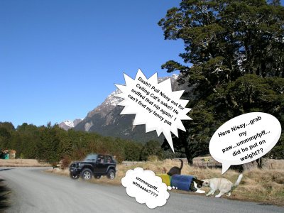 Nissy and Savvy Arrive