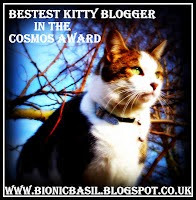 bestkittybloggerinthecosmosaward