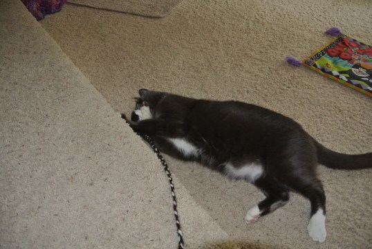 My schmousie...lick, lick