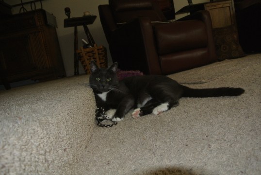 No, seriously, don't see it