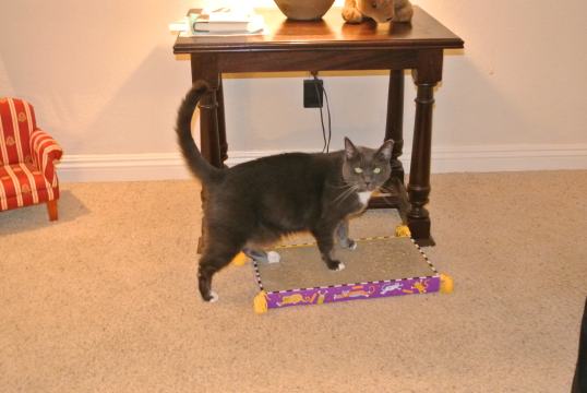 So much to appreciate again