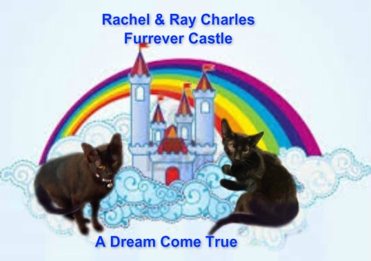 final_furrever castle dream