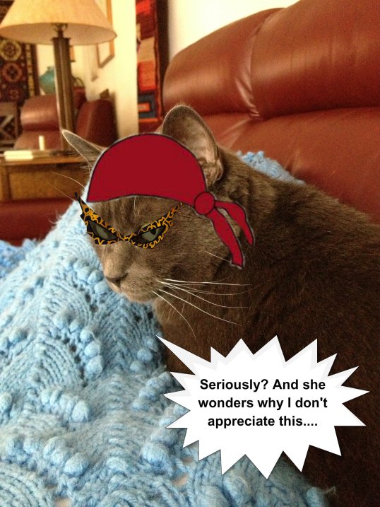 Savvy Hates Pirate Day