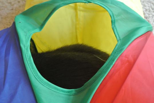 What is stuck in here?