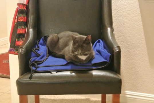 And so...what's the big deal??