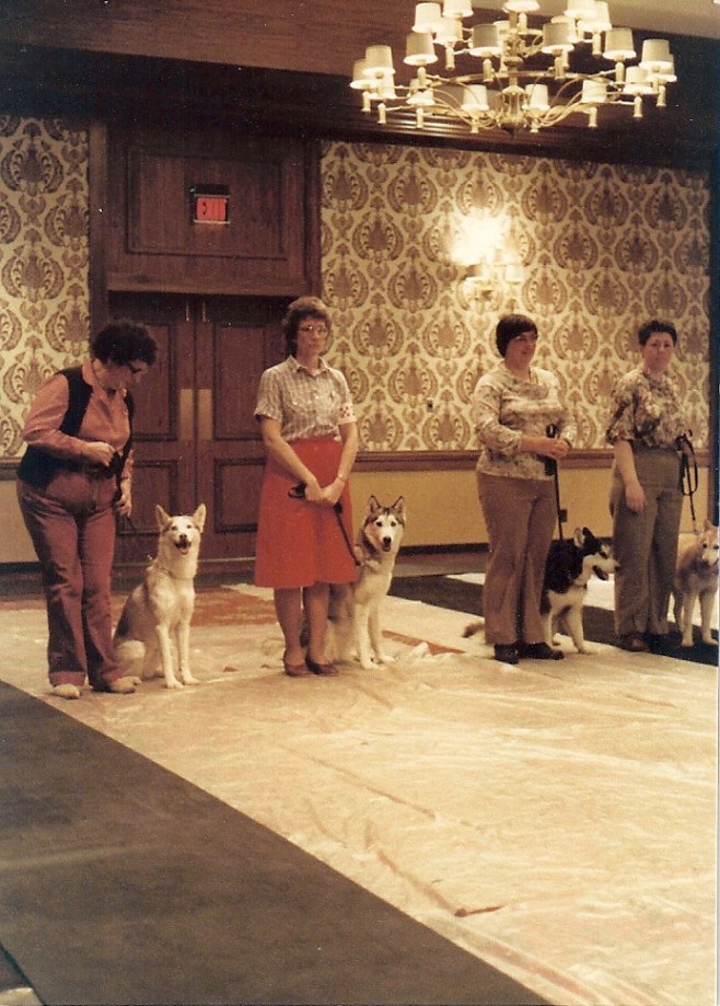 What did they say???