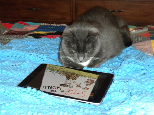 Reading Simon on iPad