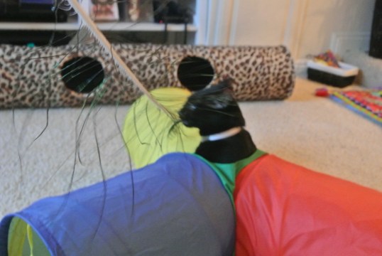 It's in my Three Way Teleport Tunnel!!!