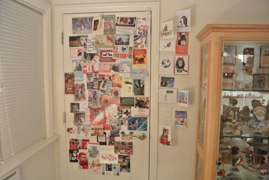 Savannah and Sage's Christmas Cards