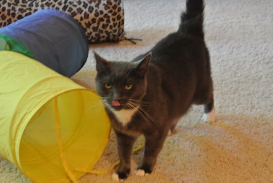 This is going to be soooo good