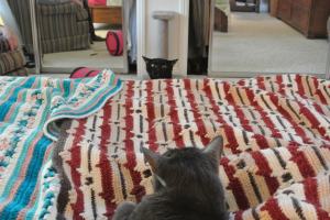 Aiiee...airplane ears all around