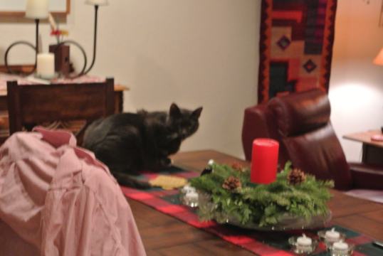 What? I like the view