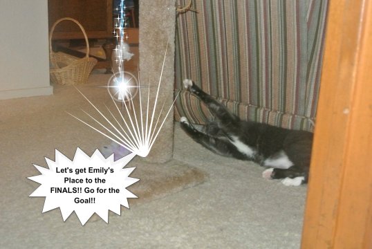 emilys place go for the goal