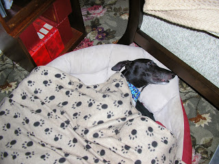 Polly All Snug 23rd Nov