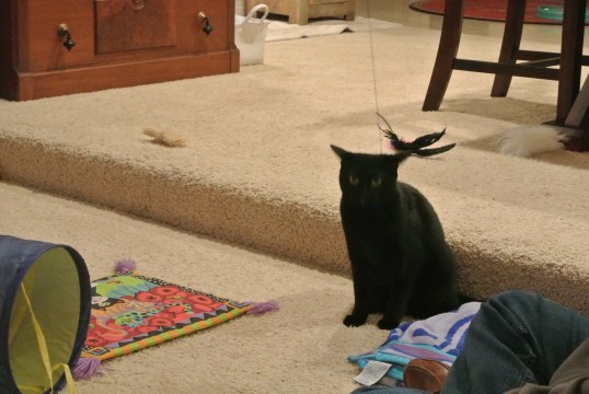 When is he coming home?