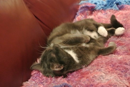 I am so fortunate to have all of you