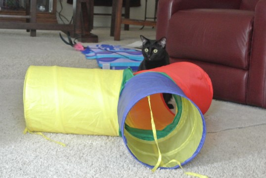 OMC!!! There she is!! Great view!