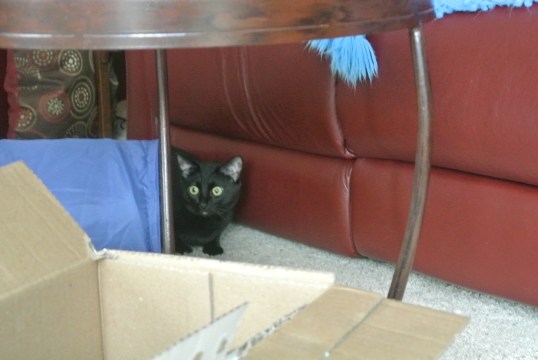 Ok, better view from here...how to get closer?