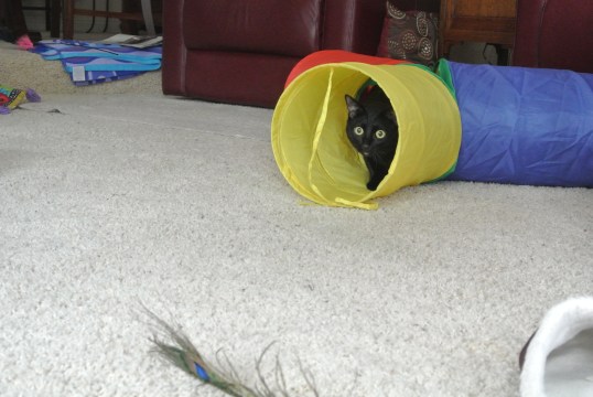 I can see her! Bet she won't notice me