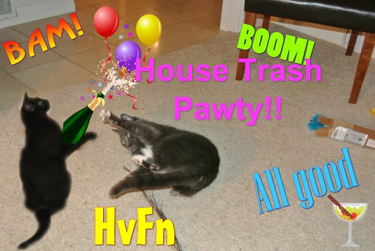 House Trash Pawty