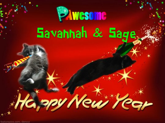 HAPPY NEW YEAR CASA SAVANNAH & SAGE