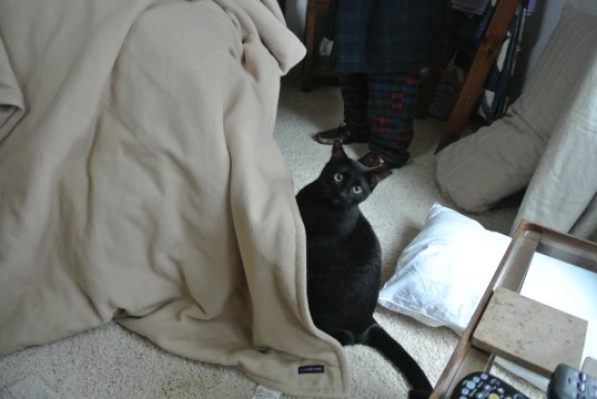 umm...come on...get this off