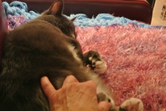 Succumbing to tummy strokes for stress