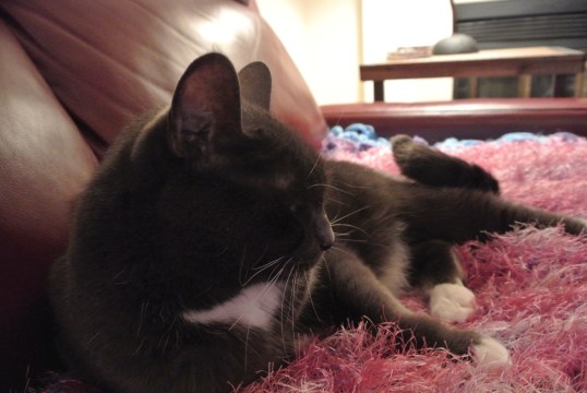 Why, oh why does she lose stuff??