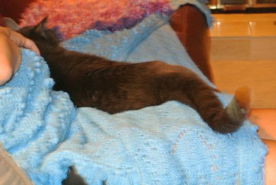 Wonder if I can get closer?