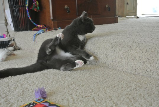 Ok TKS...get in there and get to typing