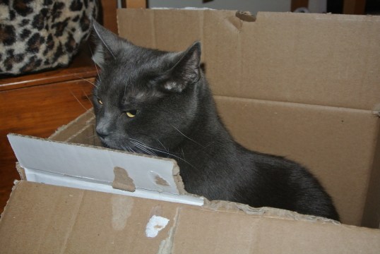 You are taking me WHERE!!??