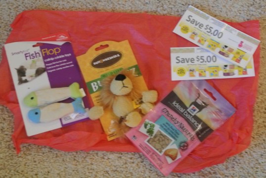 Keep your eyes on that Lion