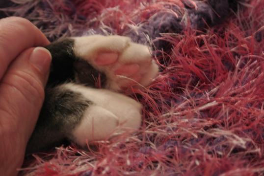 No, no...don't tough me...more more