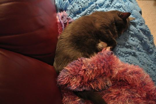 Aiiee!! I am so upset at such personal intrusion!