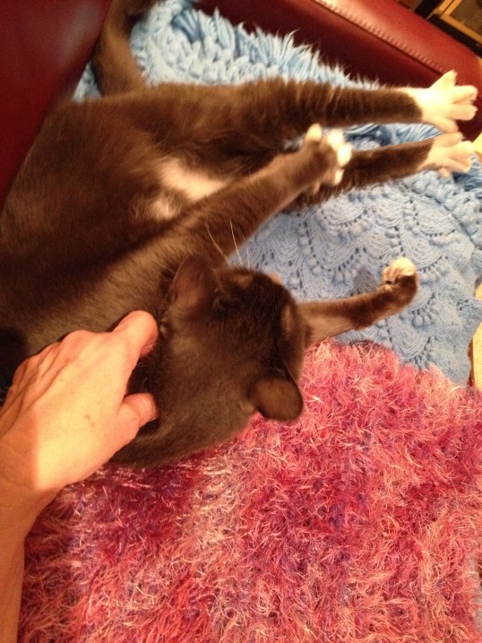 YEA!! Dad will sleep with The Kid Sage!