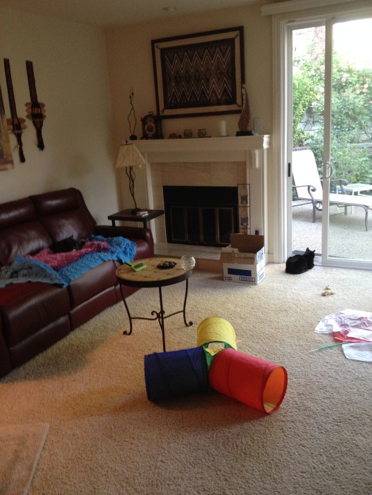 As long as she stays over there...