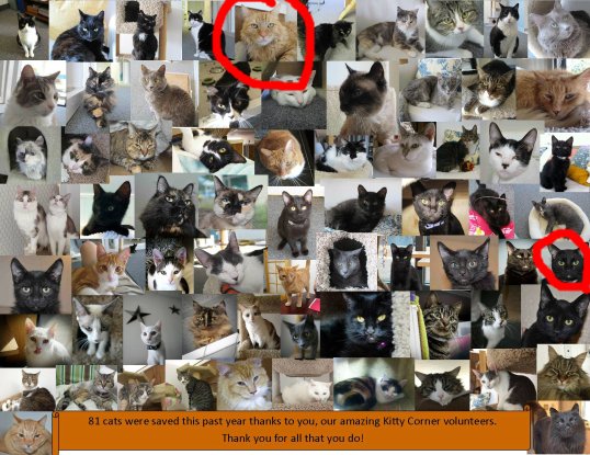 May the REAL Leo and Sage stand out