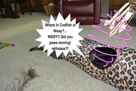 Nissy grabs Savvy_post 2