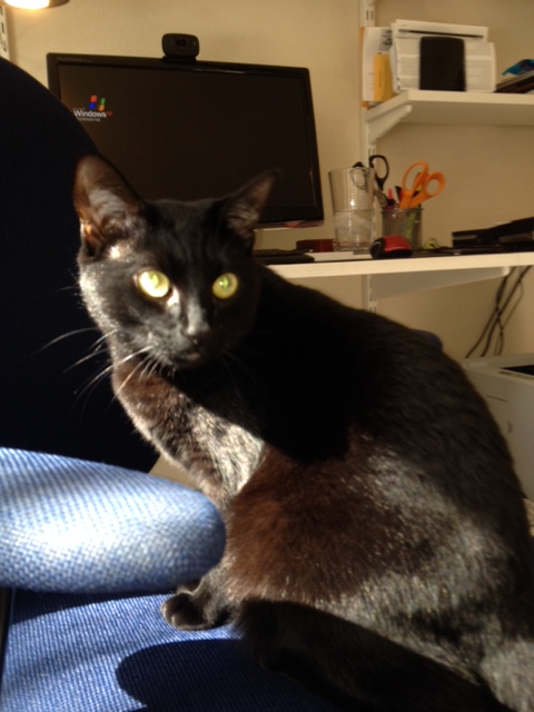 Do I look like I frolic a lot?