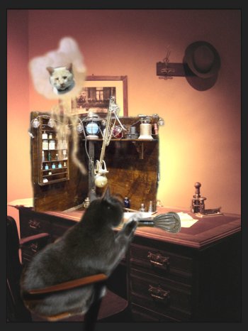 savvy dreams of dash_post 3c