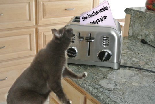 savvy gets toaster message_post