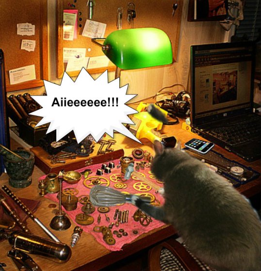 Savvy hits paw_post 7