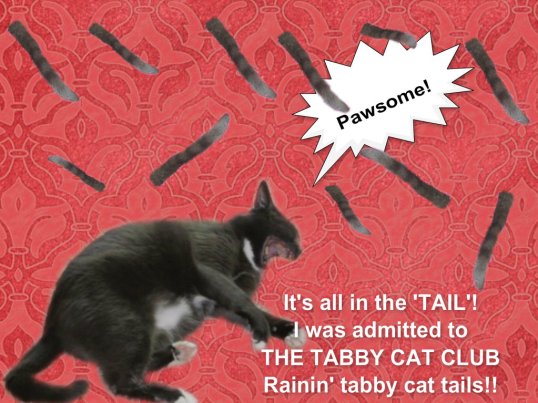 I am so happy I can't stop shouting!!