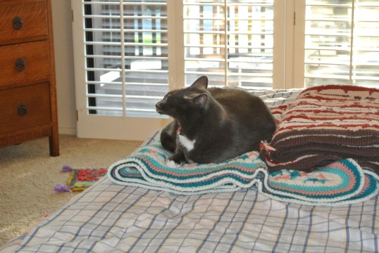 You must be kidding!!