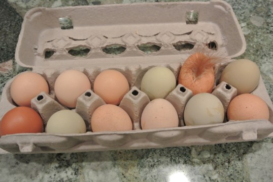 This egg is wearing a feather hat!